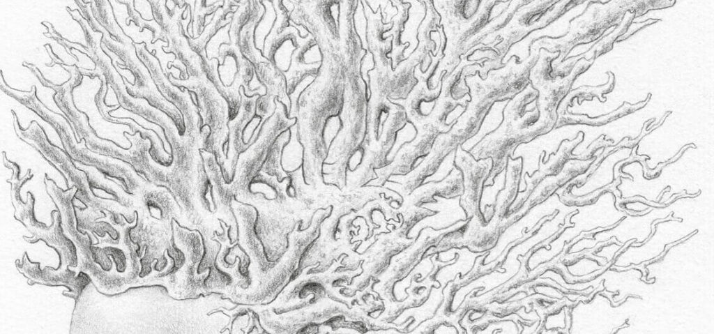 Melancolia - cadavre exquis 2